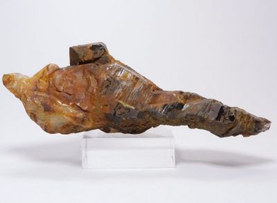 Záhněda - Bohdalec (KB-22)